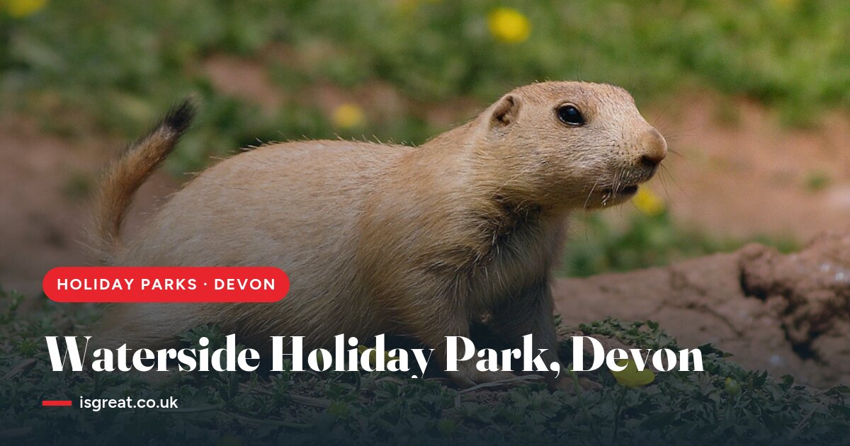 Tarka Holiday Park, Devon – and what to do nearby