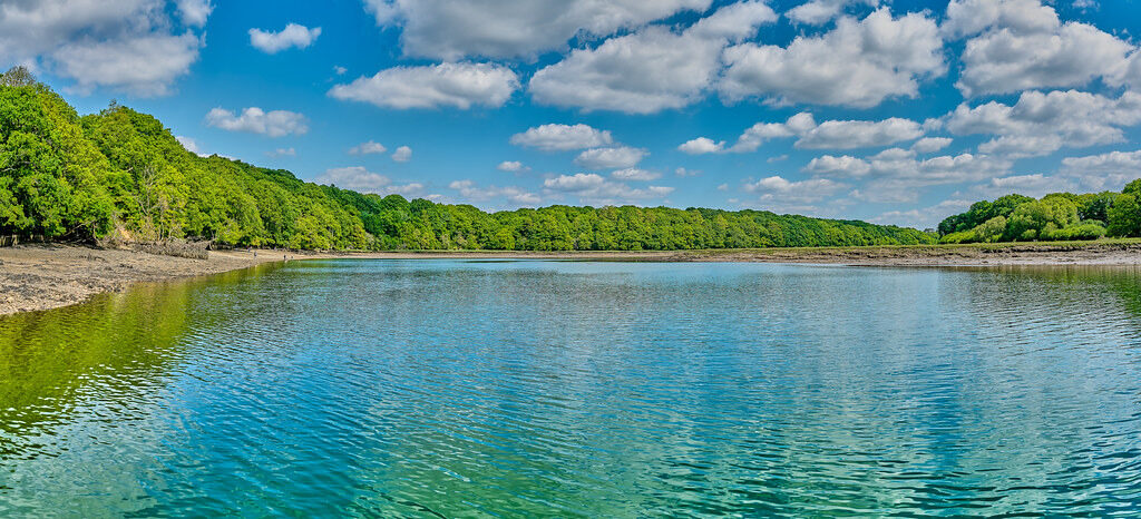 The River Hamble