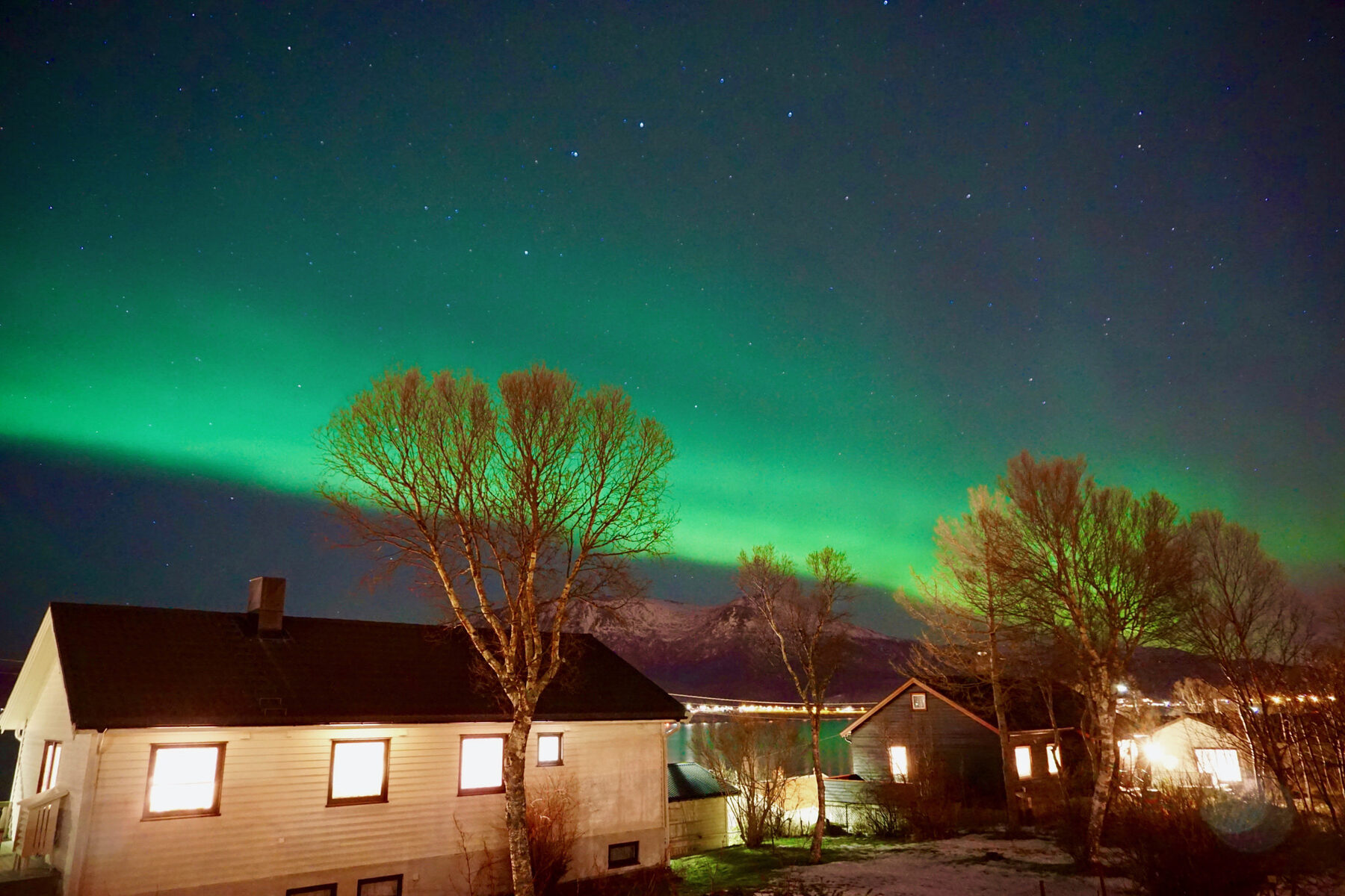 The northern lights